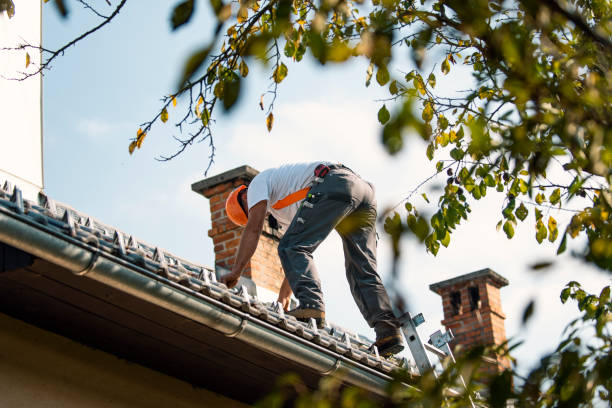 Roof Insulation in Jackson, CA